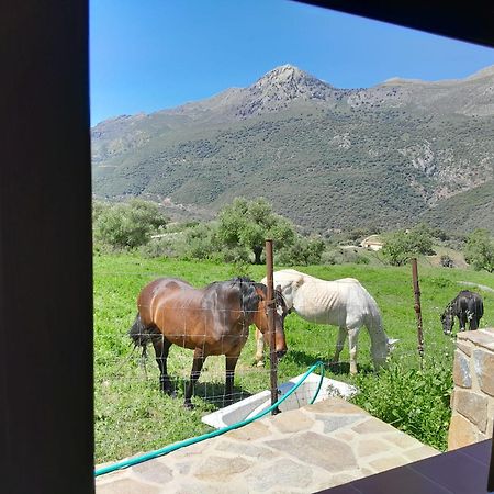 Villa El Higueron Jimera de Líbar Esterno foto