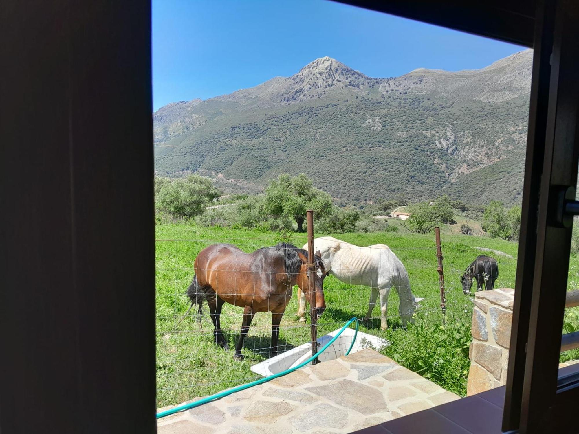 Villa El Higueron Jimera de Líbar Esterno foto