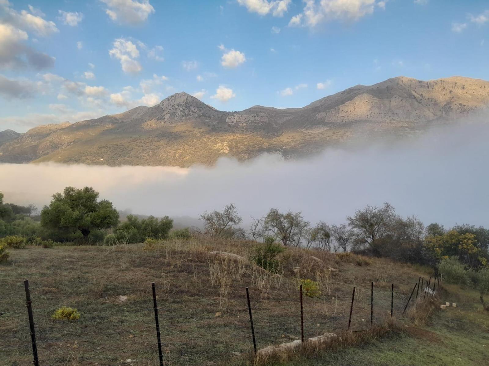 Villa El Higueron Jimera de Líbar Esterno foto